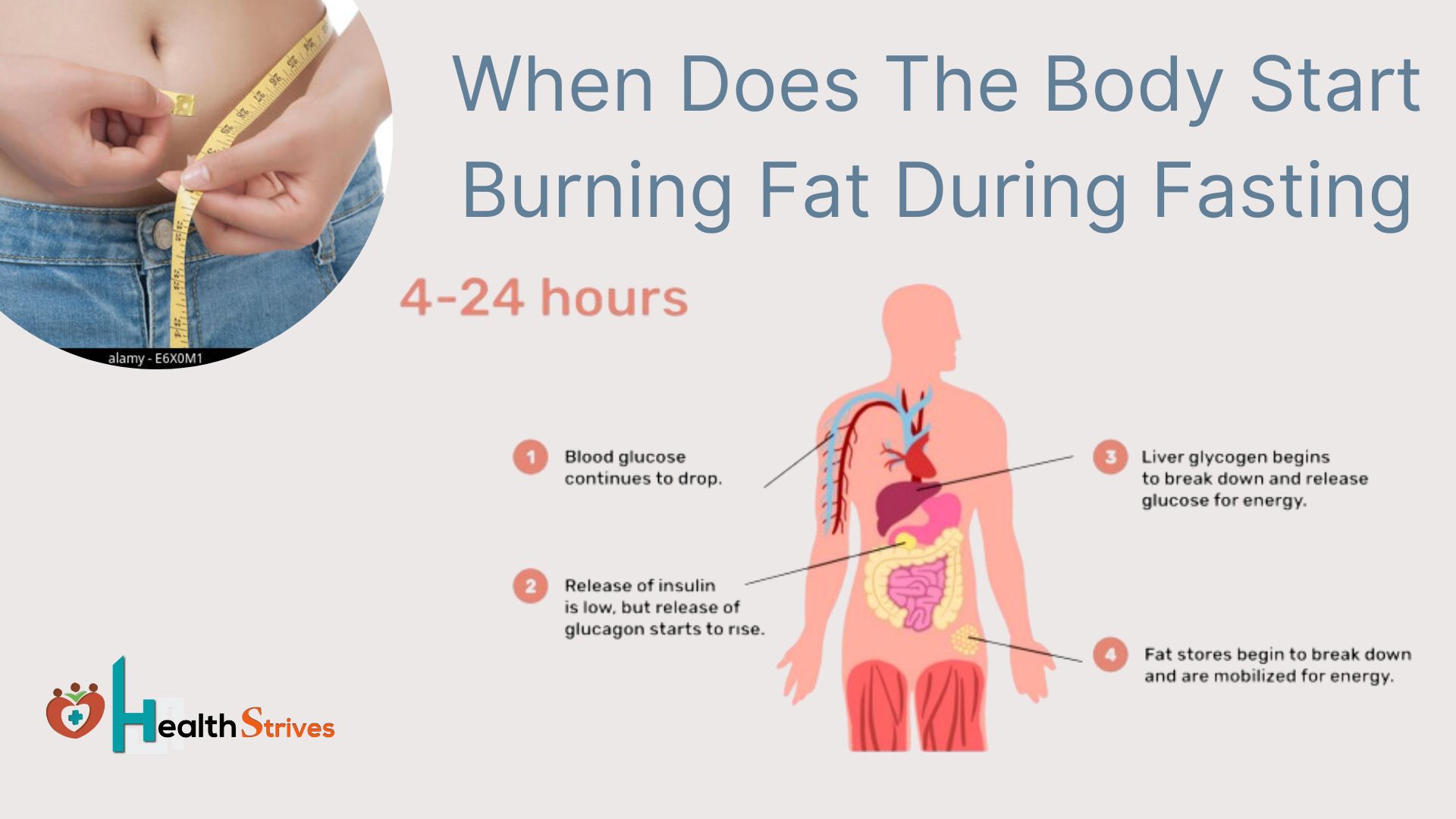 When Does The Body Start Burning Fat During Fasting